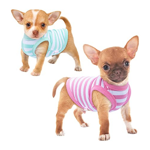 Camiseta Perros, Conjunto De Ropa Perros Pequeños Niñ...