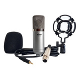 Microfono Condenser Lane Bm-700 Para Placa De Sonido Premium