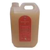 Detergente Natural Concentrado Aroma Cítrico Bidón 5 Lts