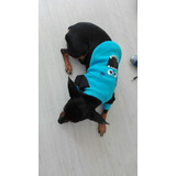 Saco Azul  De Perro  / Sullivan - - Unidad a $25000