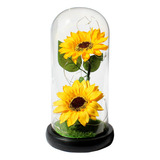 Girasol Eterno Premium Con Luz Led