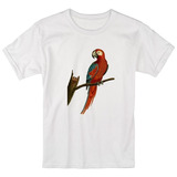 Camiseta Arara-vermelha, Ave Papagaio Maritaca Pássaro Blusa