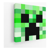 Cuadros Personalizados De Minecraft
