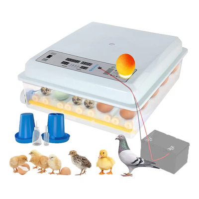 Incubadora Automática Yunjas 64 Huevos Control Temperatura Humedad | Envío gratis