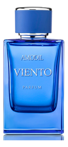 Perfume Masculino Amodil Viento Parfum Hombre 100ml