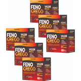 Feno Grego Boro Beta-alanina 360 Cprs Prevent  = 6 Cxs