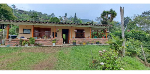 Vendo Casa Finca Fredonia Antioquia - Imagen 2
