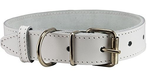 Collar De Perro De Cuero Genuino Blanco 4 Tamaños (cuello De