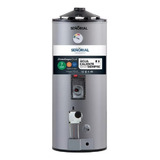 Termotanque Señorial Family Dual Eléctrico/gas Tgep-50 Gris 50 L