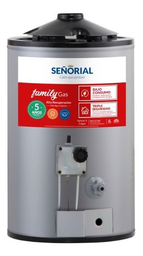 Termotanque Señorial Family 30 Lts  A Gas Alta Recuperacion