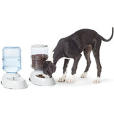Un Comedor Y Un Dispenser De Agua (9.5l) Para Mascotas.