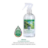 Aromatizante Biogreen Alerces 330ml Con Gatillo 