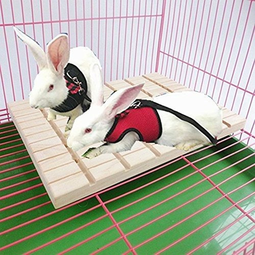 Conejo Pie Pad Juguete Animales Pequeños Conejito Chinchilla