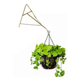 Suporte Xaxim Gancho P/ Pendurar Vaso De Planta Parede 20cm