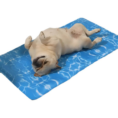 Tapete Refrescante Perro 50x65 Mascota Calor Playa Fresco | MercadoLibre