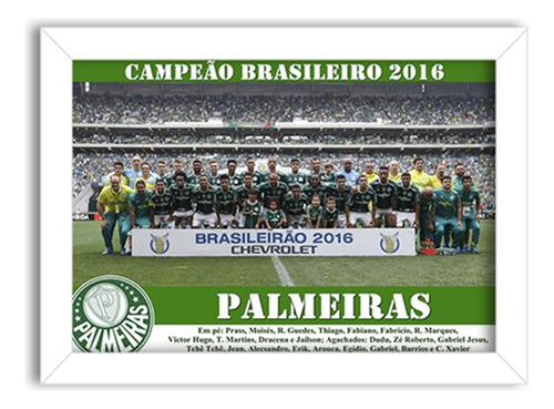 Quadro Palmeiras - Brasileiro 2016 [40x60cm]