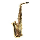 Saxofone Alto Jahnke Eb (mi Bemol) Com Boquilha E Case