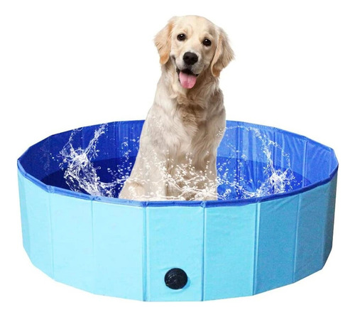 Piscina Para Mascota Perros Verano Plegable 160*30