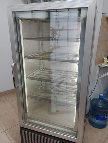 Freezer Exhibidor Vertical 