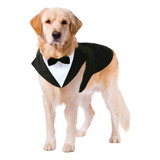 Smokin Para Perros Traje Elegante Talla Xxl