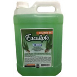 Essência De Eucalipto Concentrado Para Sauna 5 Litros