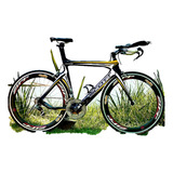 Bicicleta Full Carbon Scott Plasma Ruta Triatlon
