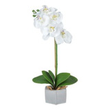 Vaso De Flor Arranjo Orquídea Artificial Planta Realista