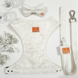 Roupa Vestido Noiva Pet Kit Coleira Casamento Branco Tam Pp