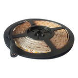 Tira Led 3528 Exterior 5m 12v Luz Neutra