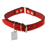 Collar Para Perro De Cuero Con Placa