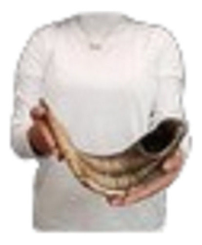 Shofar Ceremonial De-carnero-  46.5cm- Kosher (#350)