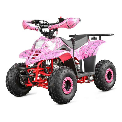 Cuatrimoto Indantil 110cc Automatico C\u002Freversa Reyes O Santa | MercadoLibre