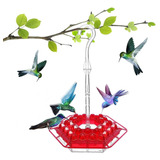 Alimentador De Colibríes Con Foso Hormigas Decoración Jardín