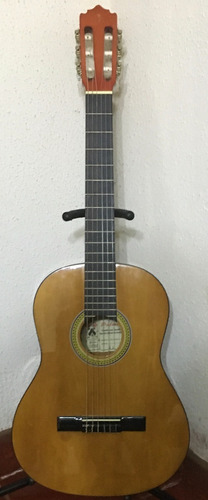 Guitarra Acústica Palmer