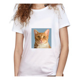 Camiseta Dama Estampada gato Amarillo