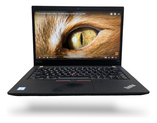 Lenovo Thinkpad T490 Black/14 /i7 8th/256gb Ssd/8gb Ddr4 (2)