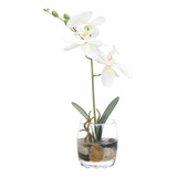 Orquídea Phalaenopsis Artificial De Seda Blanca Sintética De
