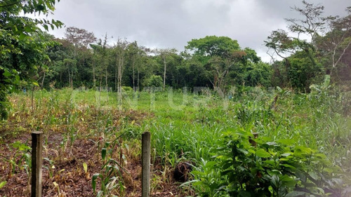 Renta De Terreno Zona Industrial Pajaritos Carretera Coatzacoalcos Villahermosa