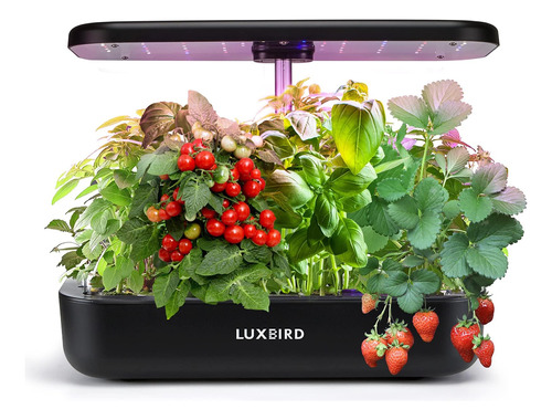 Sistema De Cultivo Hidropónico Luxbird, Kit De Inicio De Jar