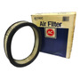 Filtro De Aire Ford Escort 87-90/ Mercury Lynx 87-88 (46171) Ford ESCORT