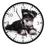 Reloj De Pared Schnauzer Miniatura Con Marco Negro, Grande, 