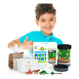 Kit De Terrario De Dinosaurio Para Ninos - Grandes Regalos P