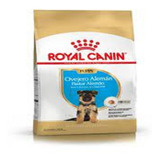 Royal Canin Ovejero Aleman Junior X 12kg + Envios!!