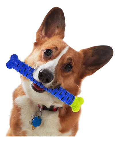 Juguete Hueso Para Perros Cepillo Limpieza Dental Chewbrush 