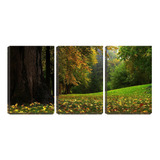 Quadro Decorativo 45x96 Folhas Secas No Gramado