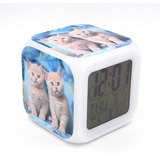 Boyan New British Shorthair Gato Kitty Led Reloj Despertado.