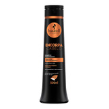 Shampoo Haskell Engrossador Encorpa Cabelo 500ml