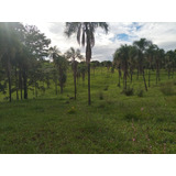 Fazenda 180 Hectares 