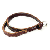 Ray Allen Double Leather Agitation Collar With Handle An Eeh