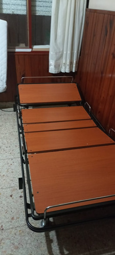 Cama Ortopedica Electrica